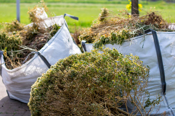 Best Junk Removal Near Me  in Monongahela, PA